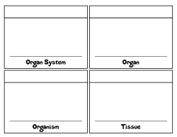 Organ System Organ Organism Tissue