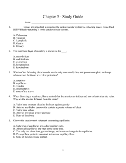 Chapter 5 - Study Guide
