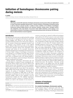 Initiation of homologous chromosome pairing during meiosis