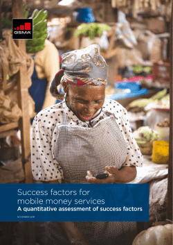 Success factors for mobile money services