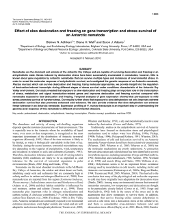 Effect of slow desiccation and freezing on gene transcription and