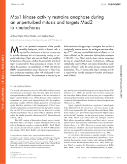 Mps1 kinase activity restrains anaphase during an unperturbed