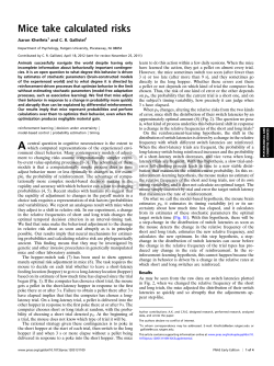 Mice take calculated risks - RuCCS