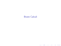 Brane Calculi