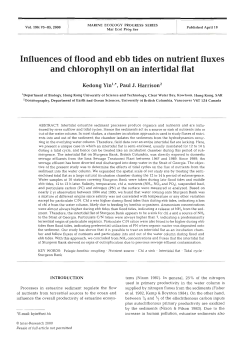 Influences of flood and ebb tides on nutrient fluxes and chlorophyll