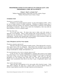 phosphorus effects on surface water quality and phosphorus tmdl