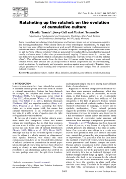 Ratcheting up the ratchet: on the evolution of cumulative culture