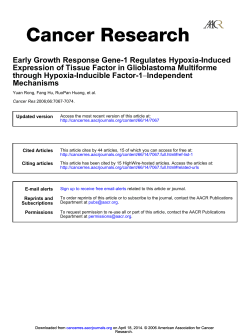 Mechanisms Independent &minus; through Hypoxia-Inducible Factor