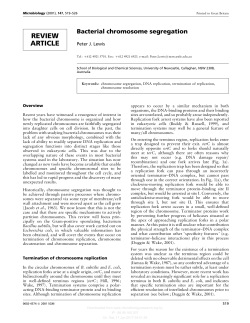 REVIEW ARTICLE Bacterial chromosome segregation