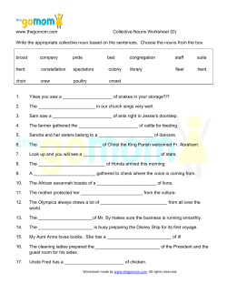 Collective Nouns Worksheet (D)