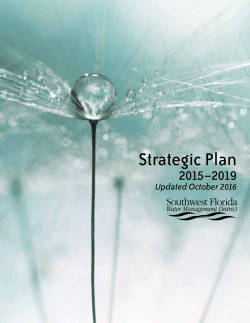 Strategic Plan - Southwest Florida Water Management District