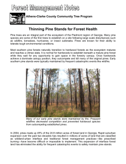 Thinning Pine Stands for Forest Health - Athens