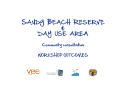 Sandy Beach Workshop Outcomes