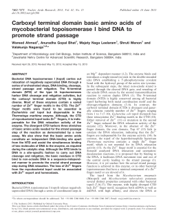 Carboxyl terminal domain basic amino acids of mycobacterial