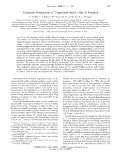 Molecular Mechanisms of Chaperonin GroEL