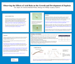 Observing the Effects of Acid Rain on the Growth