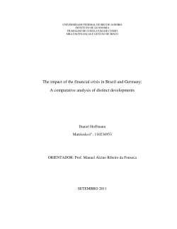The impact of the financial crisis in Brazil and Germany