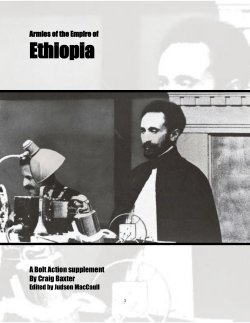 Army in Ethiopia