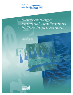 Biotechnology: Potential Applications in Tree Improvement
