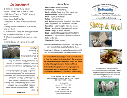 Sheep Terms - New York Farm Bureau Foundation for Agricultural