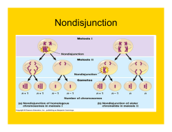Nondisjunction Notes