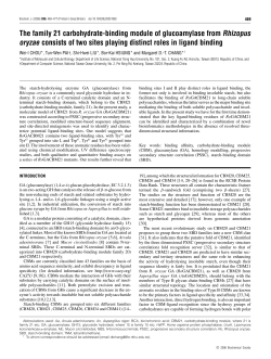 The family 21 carbohydrate-binding module of glucoamylase from