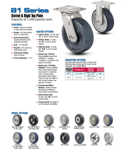 Series 81 - Service Caster
