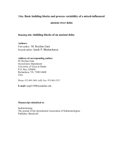 FaciesArchitecture_p.. - The University of Texas at Dallas