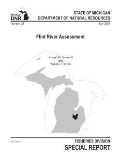 Draft Flint River Assessment