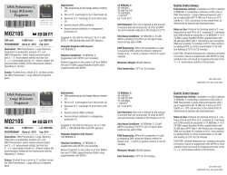 Datasheet for DNA Polymerase I, Large (Klenow) Fragment (M0210