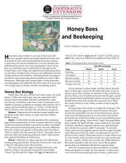 Honey Bees and Beekeeping - Leon