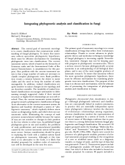 PDF - Clark University