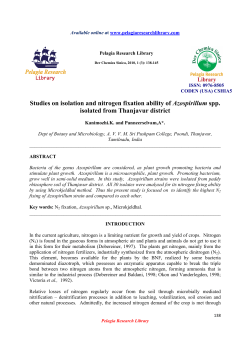 Studies on isolation and nitrogen fixation ability of
