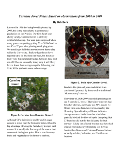 Carmine Jewel Notes: Based on observations from 2004 to 2009