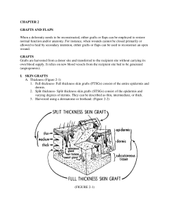CHAPTER 2 GRAFTS AND FLAPS When a deformity needs to be