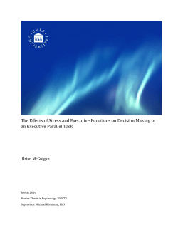 The Effects of Stress and Executive Functions on Decision