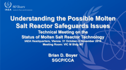 Understanding the Possible Molten Salt Reactor Safeguards