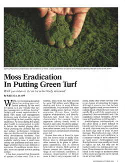 Moss Eradication In Putting Green Turf