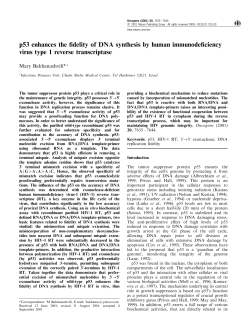p53 enhances the fidelity of DNA synthesis by human