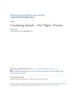 Considering Animals&mdash;Not &ldquo;Higher&rdquo; Primates