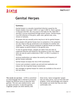 Genital Herpes