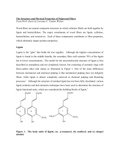 The Structure and Physical Properties of Pulpwood Fibers From Ph