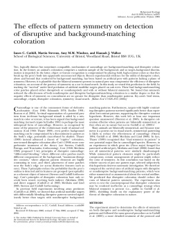 The effects of pattern symmetry on detection of disruptive and
