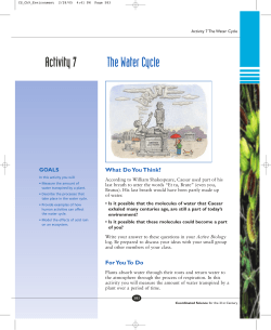 Activity 7 The Water Cycle