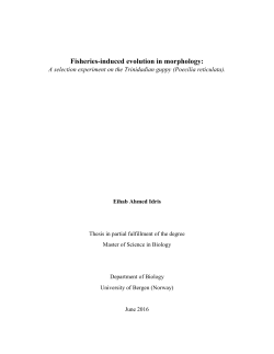 Fisheries-induced evolution in morphology - (BORA)
