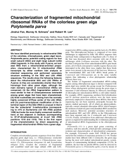 Characterization of fragmented mitochondrial
