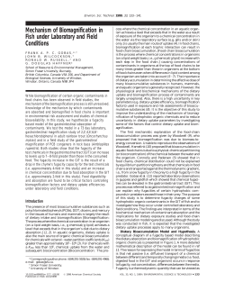 Mechanism of Biomagnification in Fish under Laboratory and Field