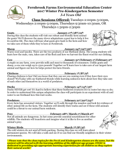 2017 Winter Semester Pre-K/Kindergarten Syllabus and