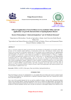 Effect of application of iron fertilizers in two methods `foliar