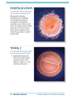fertilization week 2 - INFORMED CONSENT PROJECT